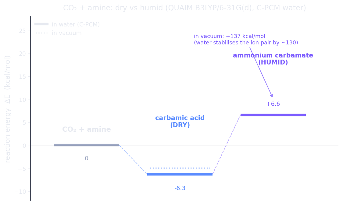 Reaction-energy diagram from Hilbeon: CO2 plus methylamine to carbamic acid is favourable (about -5 to -6 kcal/mol); the ionic ammonium carbamate is +137 kcal/mol in vacuum but only +6.6 kcal/mol in C-PCM water