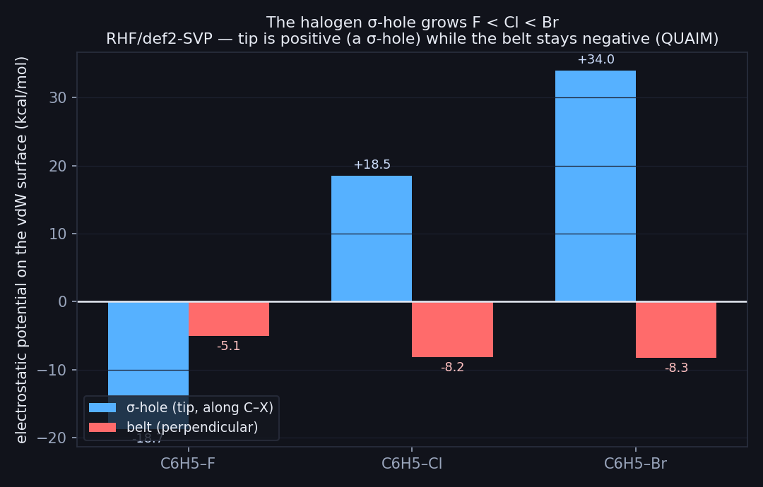 Bar chart of the electrostatic potential at the halogen tip versus belt for fluoro-, chloro- and bromobenzene computed by Hilbeon; the tip turns positive and grows F < Cl < Br
